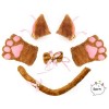 Beelittle Cat Cosplay Costume Oreilles de Chaton Tail Collar Paws Cat Collection Cosplay 5 Pack Brown1 