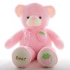 Nouveau Ours en Peluche De Fruits De Haute Qualité avec Écharpe en Peluche Animal Ours en Peluche Poupée Oreiller Cadeau D’An