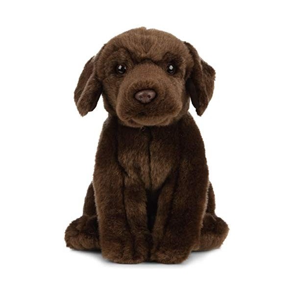 Living Nature, Chien et Chiot en Peluche Animaux, AN490, Unknown, Bundle