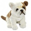 Bizz Peluche bouledogue anglais assis