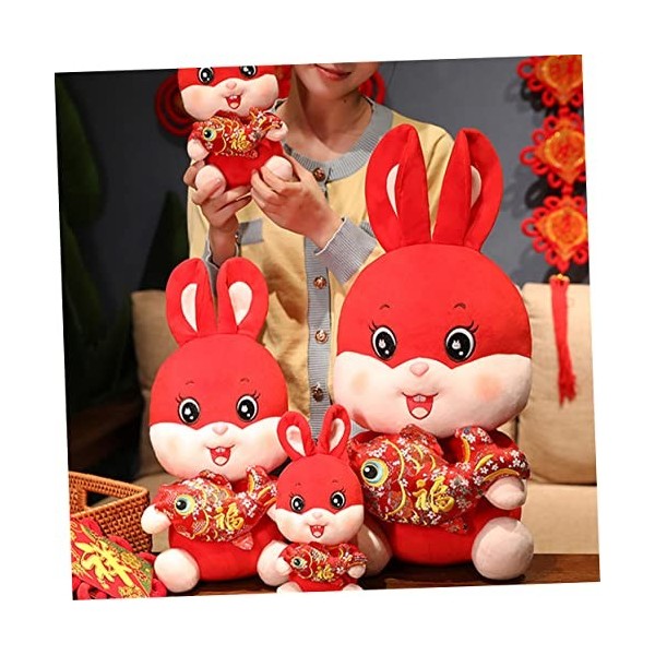 Totority 5 Pièces Mascotte De LAnnée du Lapin Poupée De Mascotte du Nouvel an Chinois 2023 Mascotte du Nouvel an en Peluche 