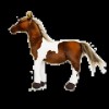 NOpinz Nouveau Cheval Peluche Jouets en Peluche Réaliste Animal Poupées Enfants Cadeaux Décoration D’intérieur Haute Qualité 