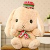 ZCXBHD Oreiller De Couchage en Peluche Ragdoll Oreiller en Peluche Mignon Et Créatif Adapté Aux Enfants Ou Aux Petites Amies,