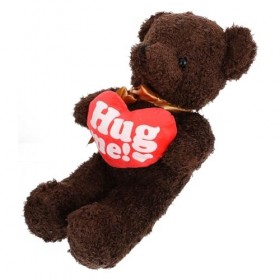 ibasenice 2 Pièces Poupée Ours damour Saint Valentin pour Ornement en Peluche Poupée Pelucheuse Jouets en Peluche Hug Me Béb