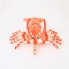 Nouveau Homard Coussin Peluche Jouet Poupée Écrevisse Poupée Enfants Cadeau Affichage Accessoires Cadeau D’Anniversaire Cadea