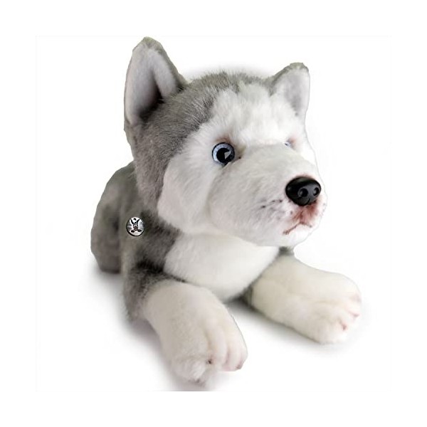 Husky - Peluche chien de traîneau - Yeux bleus - ACE