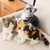 SaruEL Chat à Poil Court Jouets en Peluche réaliste Chat Siamois Animal poupée Jouets Enfants Jouets pour Animaux de Compagni