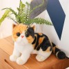 SaruEL Chat à Poil Court Jouets en Peluche réaliste Chat Siamois Animal poupée Jouets Enfants Jouets pour Animaux de Compagni