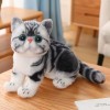 SaruEL Chat à Poil Court Jouets en Peluche réaliste Chat Siamois Animal poupée Jouets Enfants Jouets pour Animaux de Compagni