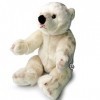 Eisbär Teddy Peluche en peluche Blanc Mishka