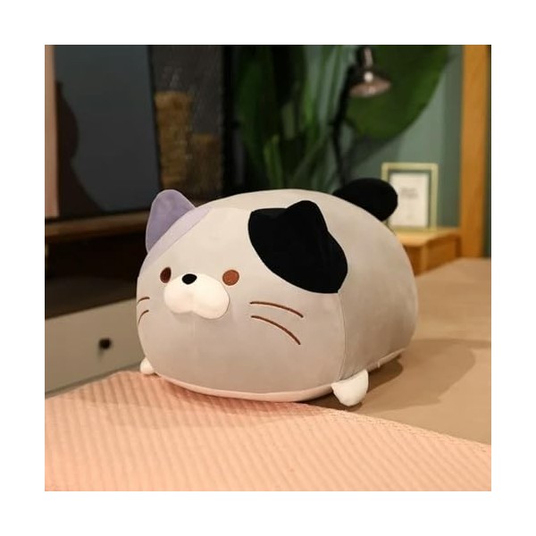 EacTEL Coussin en Peluche Chat Mignon Peluche Animal Cylindre Super Doux Chat potelé Chaton Kawaii Oreiller Anniversaire Cade