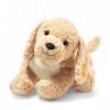 Steiff Soft Cuddly Friends Goldendoodle Berno - 067075 - Beige - 36 cm