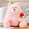 Kawaii Ours en Peluche Jouet en Peluche Ours en Peluche Tenant Rose Peluche Poupée Saint Valentin Cadeau De Noël pour Fille C