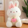 EacTEL Mignon Lapin poupée Dessin animé Peluche Animal Fleur Lapin Peluche poupée Oreiller Kawaii Peluche Enfants Jouet Fille