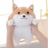 JICIMAOYI Jouets en Peluche de Chien Mignon Le Gros crabot de crabot de Bois clingpillow Doux vers Le Bas la poupée de Coton