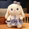 LfrAnk Mignon Lapin poupée Peluche Lapin Mignon Oreiller de Couchage Jouet en Peluche Enfants Cadeau d’Anniversaire Cadeau de