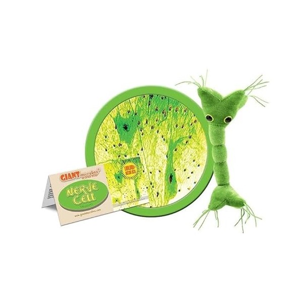 Cellule nerveuse en peluche GIANTmicrobes – Découvrez votre système nerveux grâce à cette incroyable peluche, cadeau éducatif