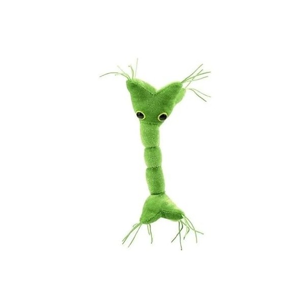 Cellule nerveuse en peluche GIANTmicrobes – Découvrez votre système nerveux grâce à cette incroyable peluche, cadeau éducatif