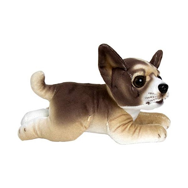 JESONN Chiwawa Jouet en peluche pour chien 25,4 cm