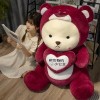 EacTEL Kawaii Ours en Peluche Histoire Jouets en Peluche Animaux en Peluche Poupée Mignonne Oreiller Enfants Cadeaux Chambre 