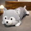 Peluche géante Jouet Peluche Chiot Corgi Husky Peluche Animal Jouet Doux Oreiller Fille Cadeau d’Anniversaire 100cm 2