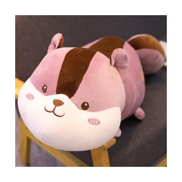 NOpinz Mignon écureuil en Peluche Oreiller Dessin animé Animal écureuil en Peluche poupée Oreiller de Couchage Cadeau d’Anniv
