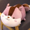 NOpinz Mignon écureuil en Peluche Oreiller Dessin animé Animal écureuil en Peluche poupée Oreiller de Couchage Cadeau d’Anniv