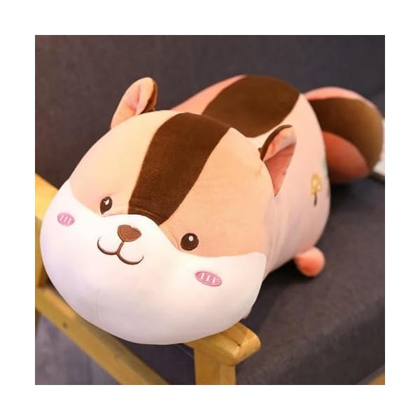 NOpinz Mignon écureuil en Peluche Oreiller Dessin animé Animal écureuil en Peluche poupée Oreiller de Couchage Cadeau d’Anniv