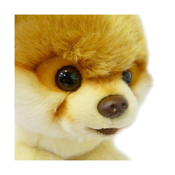 Gund Boo 4029715 Peluche Boo le Chien le Plus Mignon Polyester 23 cm