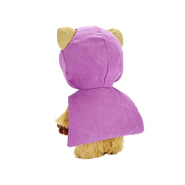 Star Wars Galactic Pals Jouet en peluche de 28 cm, poupée douce Ewok rose avec transporteur et carte de profil de personnalit