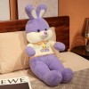 Peluche Dessin Animé Lapin en Peluche Jouet Teddy Bunny Poupée Petite Amie Fille Cadeau D’Anniversaire Peluche Jouet Enfants 