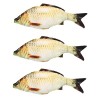 Homoyoyo 4 Pièces Oreiller Carassin Carpe Jouet De Poisson en Peluche Poupée De Poisson en Peluche Carpe Coussin Faux Poisson