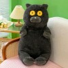 Chat poupée Peluche Kawaii Animal Peluche Mignon Enfants Cadeau Cadeau d’Anniversaire Cadeau de Noël 65cm 1