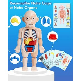 Lehoo Castle Malette Docteur Enfant, Malette Docteur, Docteur Kit de Jeu de Rôle, Docteur Enfant Cadeau pour Enfants Filles e
