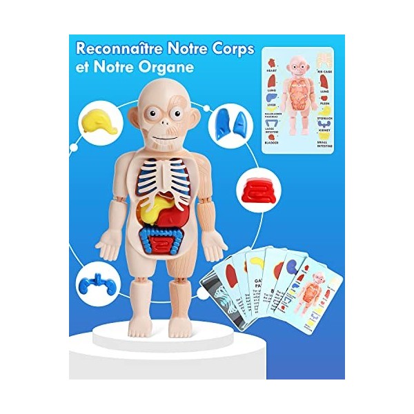 Lehoo Castle Malette Docteur Enfant, Malette Docteur, Docteur Kit de Jeu de Rôle, Docteur Enfant Cadeau pour Enfants Filles e