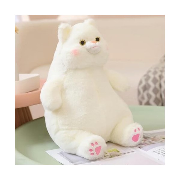 LfrAnk Chubby Cat Peluche Jouet en Peluche Animal Coussin Mignon Chat Poupée pour Anniversaire Cadeaux De Noël 70cm 1