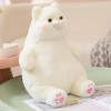 LfrAnk Chubby Cat Peluche Jouet en Peluche Animal Coussin Mignon Chat Poupée pour Anniversaire Cadeaux De Noël 70cm 1