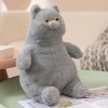 LfrAnk Chubby Cat Peluche Jouet en Peluche Animal Coussin Mignon Chat Poupée pour Anniversaire Cadeaux De Noël 70cm 1