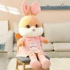 Mignon Carotte Lapin en Peluche Jouets Enfants Peluche Lapin Animal Poupée Enfants Kawaii Jouets Mignon Cadeaux D’Anniversair