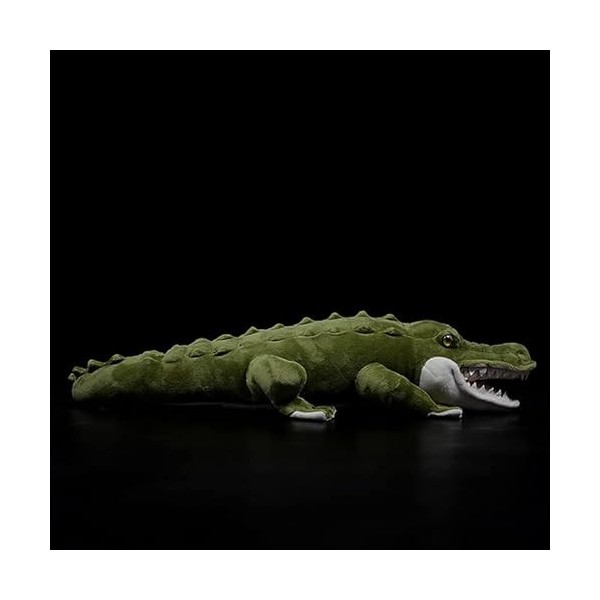 Ermano Peluche 50cm Crocodile Peluche Douce Jouet Simulation Crocodile Vert réel poupée Crocodile SIEM Reap Animal modèle Cad