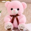 Haute Qualité Jouet Bande Dessinée Ours en Peluche Jouet en Peluche Animal Mignon Ours Poupée Cadeau D’Anniversaire pour Enfa