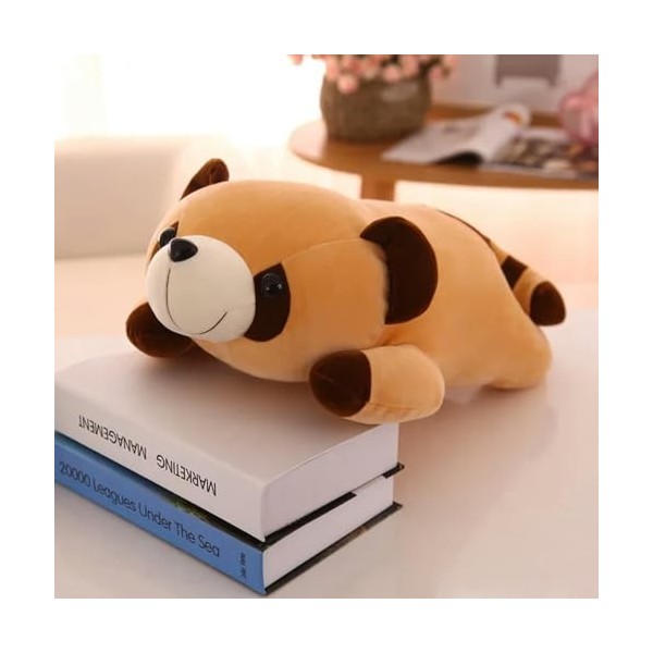 PaMut Kawaii Raton Laveur Peluche Jouet Mignon Raton Laveur Mignon Peluche poupée Oreiller Fille Enfants Cadeau d’Anniversair