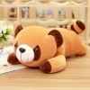 PaMut Kawaii Raton Laveur Peluche Jouet Mignon Raton Laveur Mignon Peluche poupée Oreiller Fille Enfants Cadeau d’Anniversair