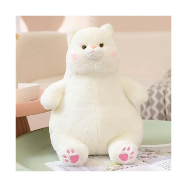 LfrAnk Chubby Chat Peluche Jouet Animal en Peluche Oreiller Mignon Chat poupée Anniversaire Cadeau de Noël 70cm 1