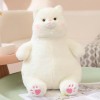 LfrAnk Chubby Chat Peluche Jouet Animal en Peluche Oreiller Mignon Chat poupée Anniversaire Cadeau de Noël 70cm 1