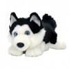 Aurora World Miyoni Peluche Husky couché Noir