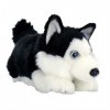 Aurora World Miyoni Peluche Husky couché Noir