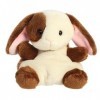 Aurora - Palm Pals - 5" Clover Bunny