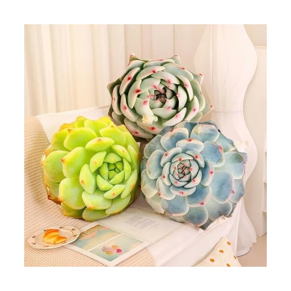 GagaLu Plante succulente Jouet en Peluche poupée créative Fleur en Pot Coussin Chaise Coussin Fille Enfants Anniversaire Cade