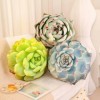 GagaLu Plante succulente Jouet en Peluche poupée créative Fleur en Pot Coussin Chaise Coussin Fille Enfants Anniversaire Cade